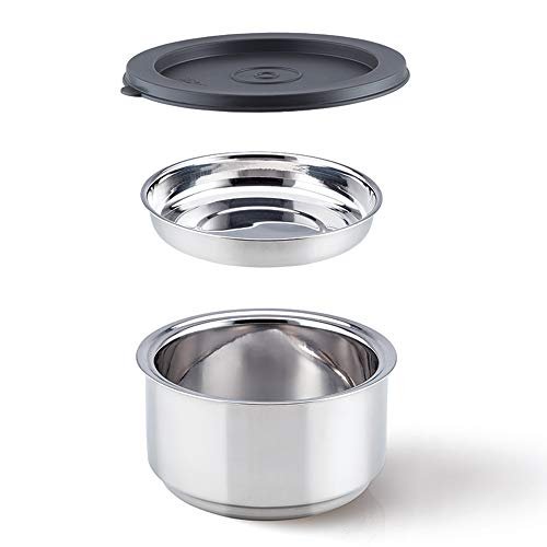 Borosil - Carry Fresh Stainless Steel Insulated Lunch Box Set of 2, 280ml, Grey