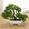 Artificial Plant for Home Decor